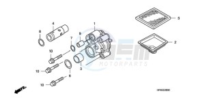 TRX420FE9 Australia - (U / 4WD) drawing OIL PUMP