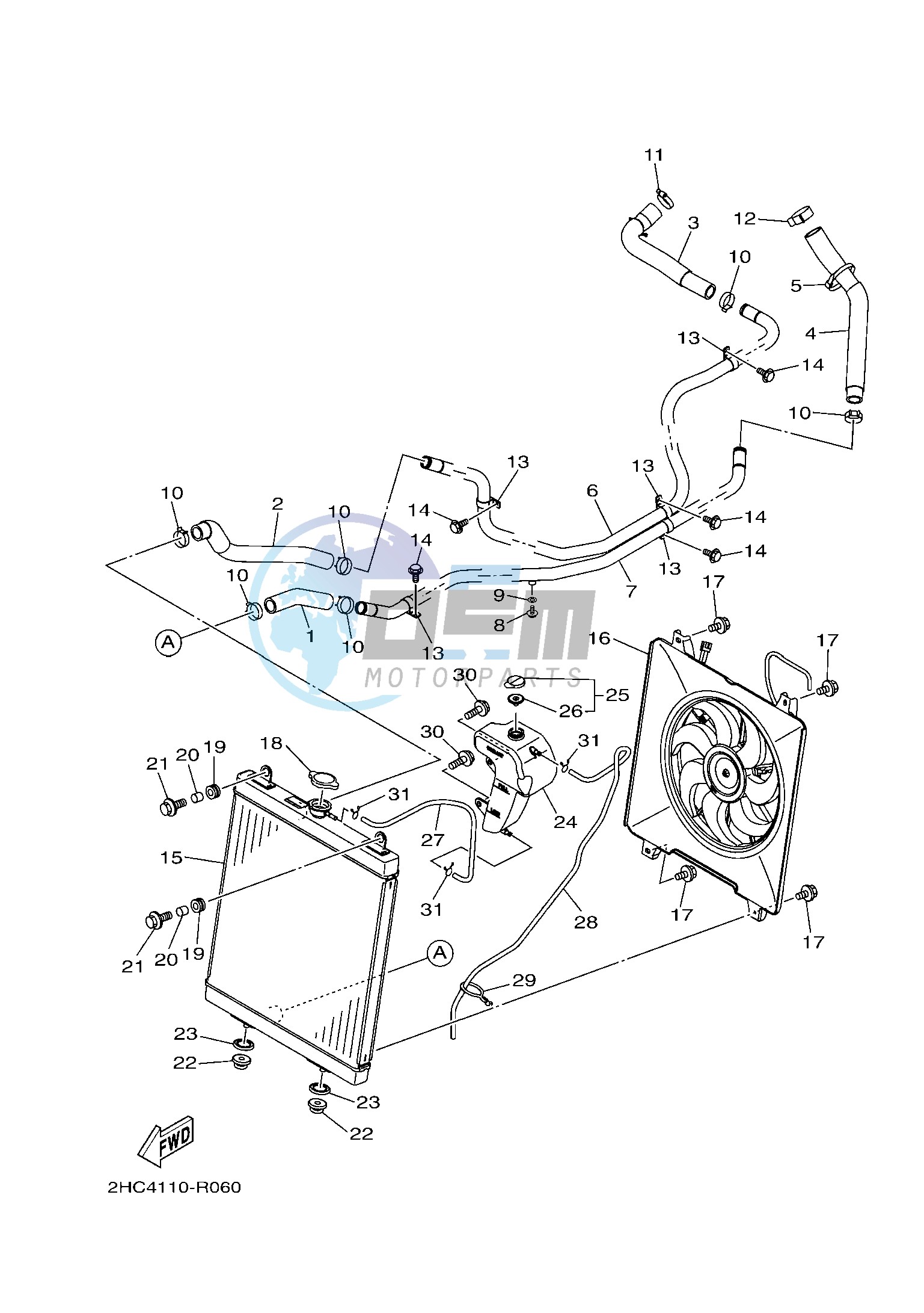 RADIATOR & HOSE