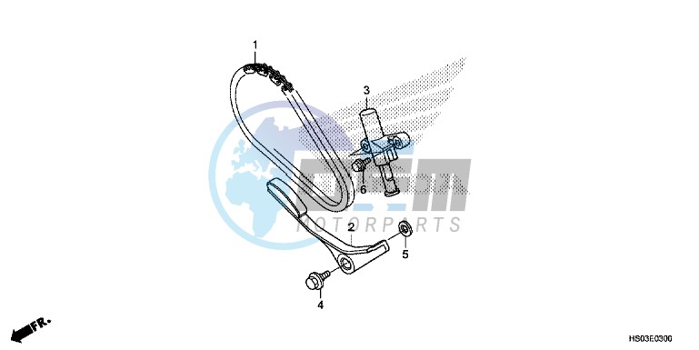 CAM CHAIN/TENSIONER