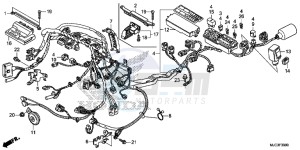 CBR600RAD CBR600RR ABS UK - (E) drawing WIRE HARNESS