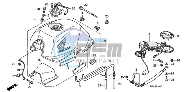 FUEL TANK/FUEL PUMP