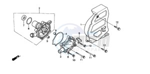 XL600V TRANSALP drawing WATER PUMP