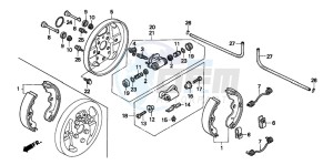 TRX300FW FOURTRAX drawing FRONT BRAKE PANEL (TRX300)