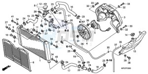 CB600F9 UK - (E / MKH) drawing RADIATOR