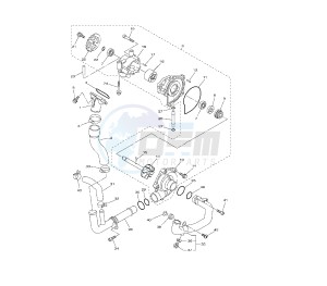 FZ8-N 800 drawing WATER PUMP