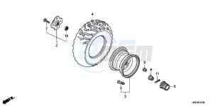 TRX500FPED TRX500FPE ED drawing REAR WHEEL