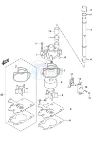 DF 250 drawing Water Pump SS Model