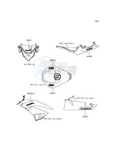 NINJA ZX-6R ZX600RFF FR GB XX (EU ME A(FRICA) drawing Decals