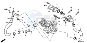 CBR1000RRE Fireblade 2ED drawing THERMOSTAT