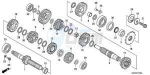 CRF250X9 Europe Direct - (ED / CMF) drawing TRANSMISSION