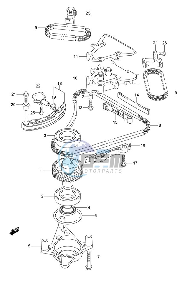 Timing Chain (DF 250S)