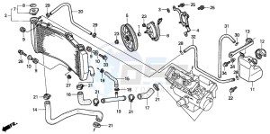 CBR900RR drawing RADIATOR (CBR900RR2,3)