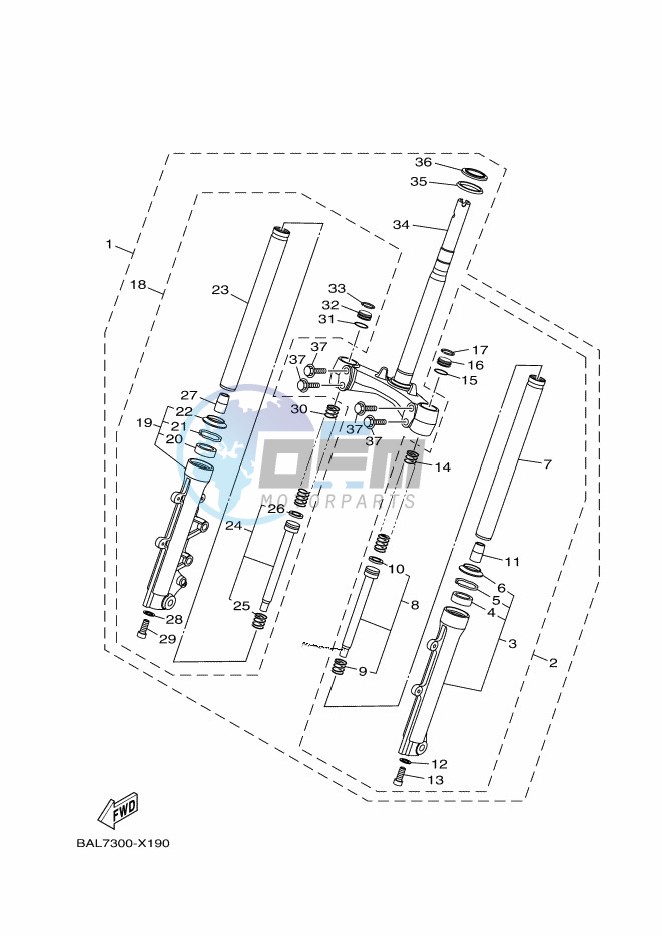 CAMSHAFT & CHAIN