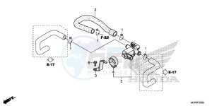 GL1800CF F6C ED drawing AIR INJECTION VALVE