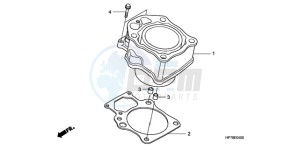 TRX420FPA9 Australia - (U) drawing CYLINDER