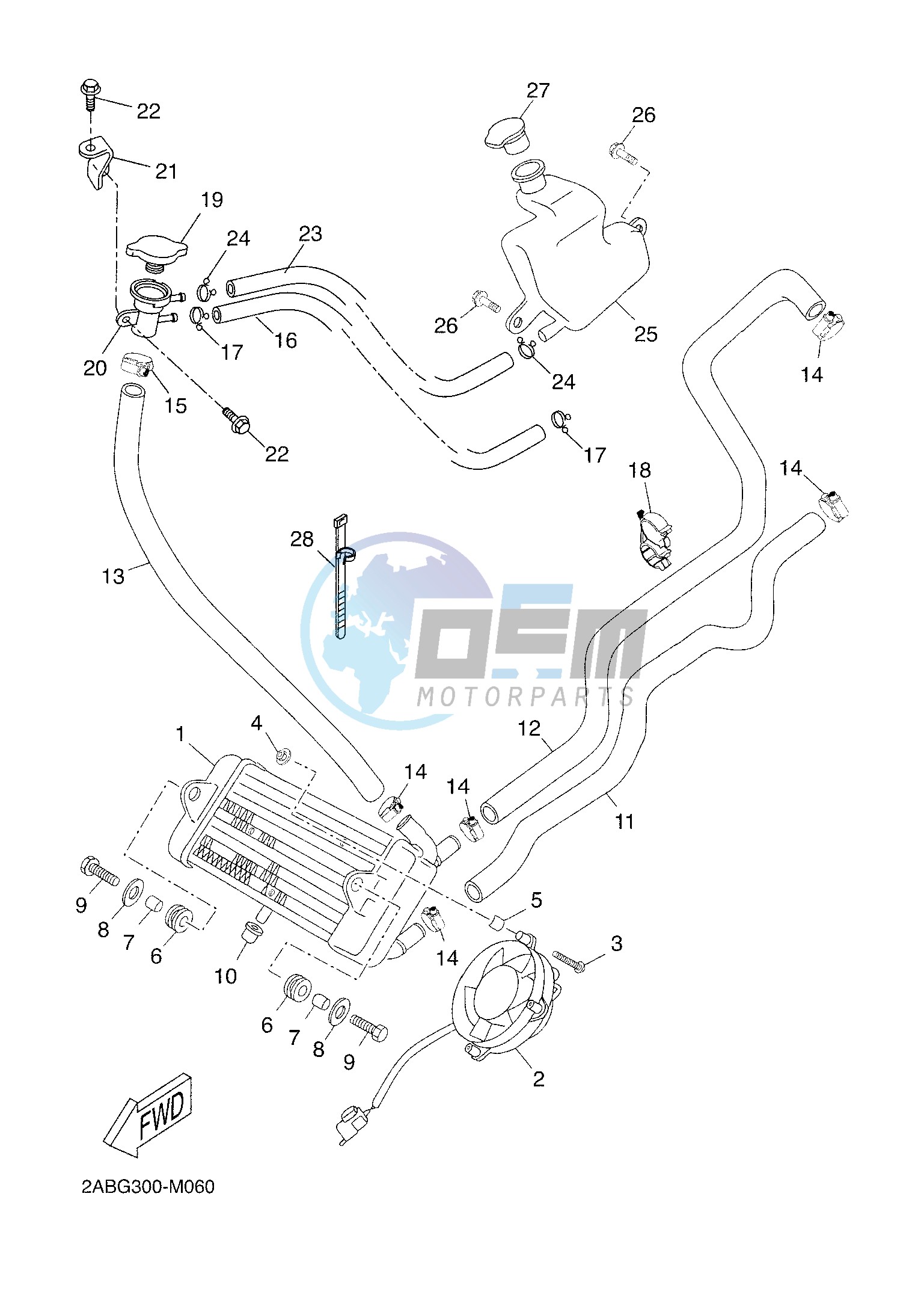 RADIATOR & HOSE