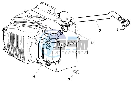 Oil drain valve