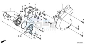 VTR2509 F / CMF LL drawing LEFT CRANKCASE COVER/WATE R PUMP