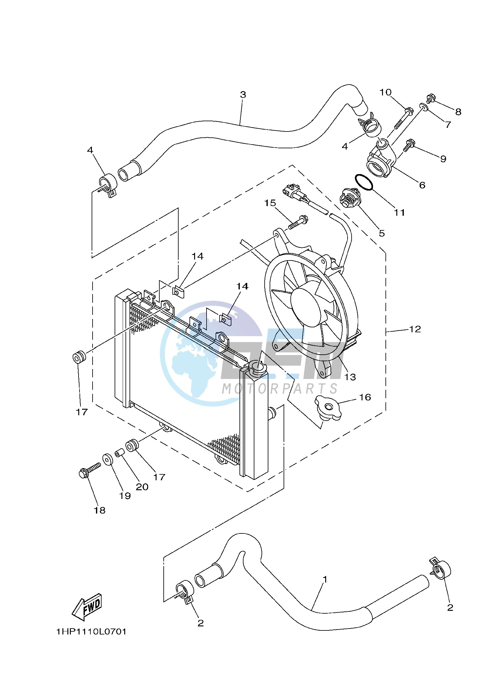 RADIATOR & HOSE