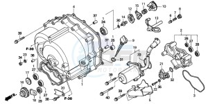 TRX250TE FOURTRAX RECON ES drawing FRONT CRANKCASE COVER (TRX250TE)