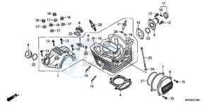 CRF230F9 Europe Direct - (ED / CMF) drawing CYLINDER HEAD COVER/ CYLINDER HEAD