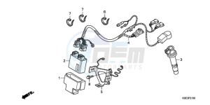 CRF150RB9 Europe Direct - (ED / T19 2ED) drawing WIRE HARNESS