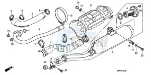 TRX500FPEB drawing EXHAUST MUFFLER