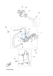 NS50N NITRO NAKED (1PL7 1PL7) drawing OIL PUMP