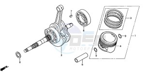 TRX250TM FOURTRAX drawing CRANKSHAFT/PISTON