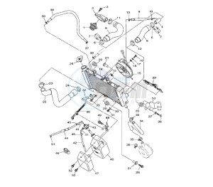 XJ6-FA DIVERSION ABS 600 drawing RADIATOR AND HOSE