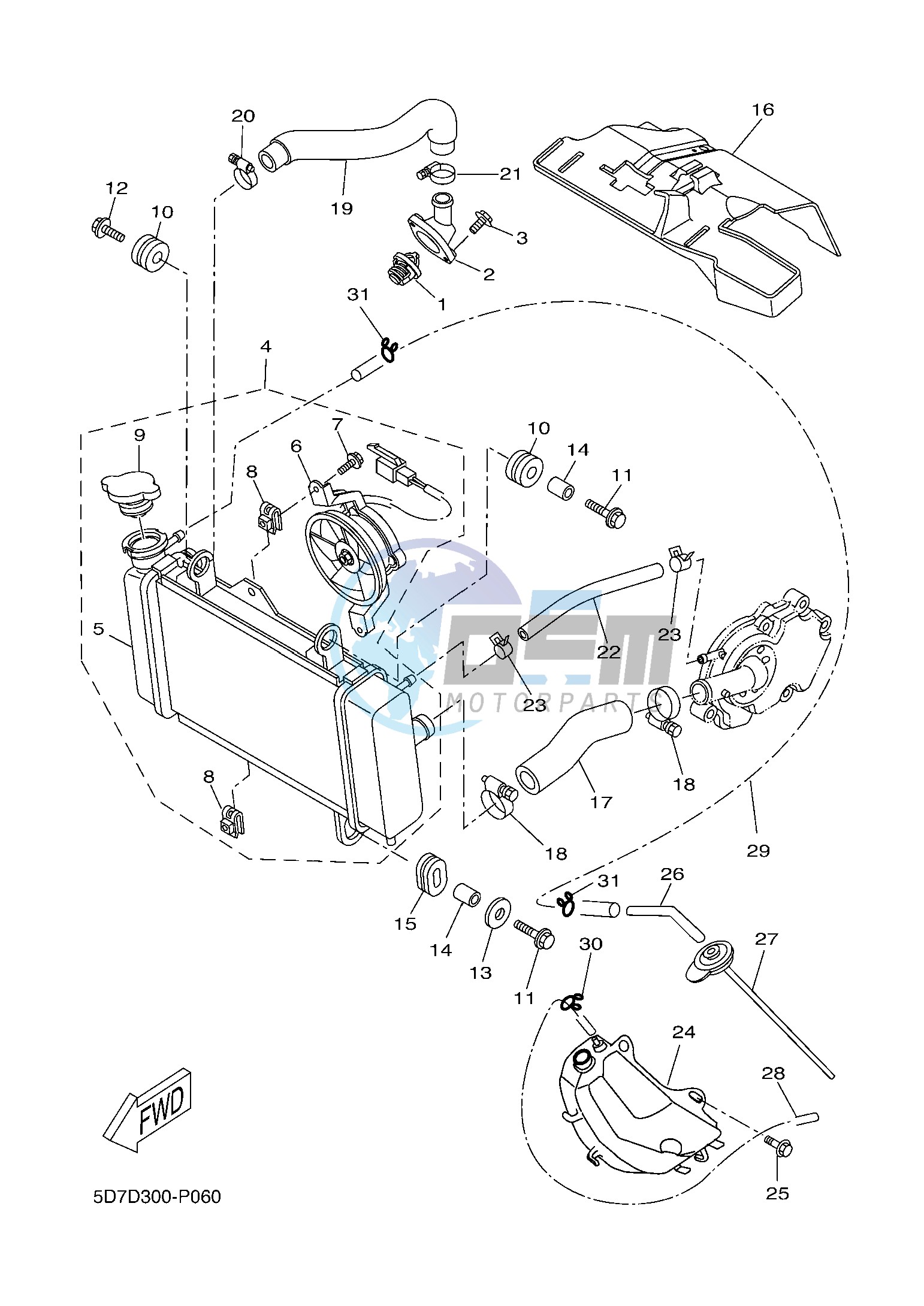 RADIATOR & HOSE