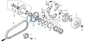 PK50SM WALLAROO drawing CLUTCH/DRIVEN FACE