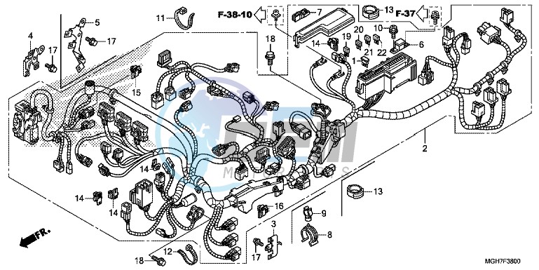 WIRE HARNESS