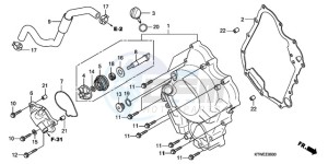 SH300AR9 Europe Direct - (ED / ABS SPC) drawing RIGHT CRANKCASE COVER/ WATER PUMP