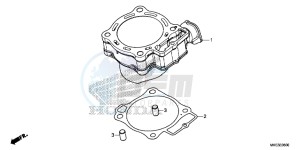 CRF450R Europe Direct - (ED) drawing CYLINDER