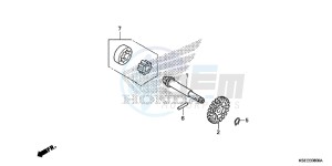 CRF150RD CRF150R Europe Direct - (ED) drawing OIL PUMP