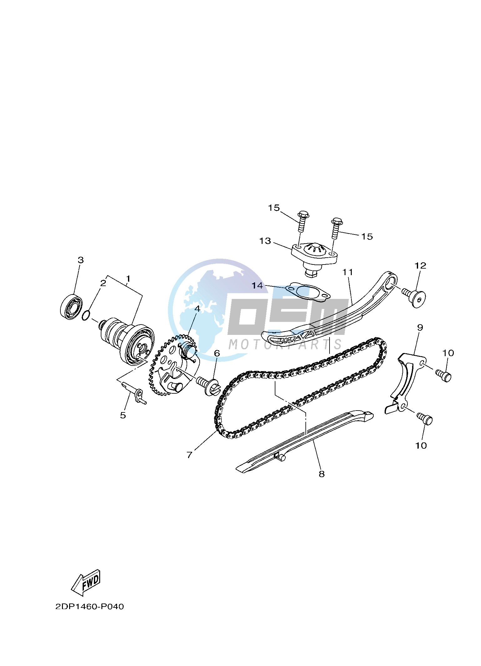 CAMSHAFT & CHAIN