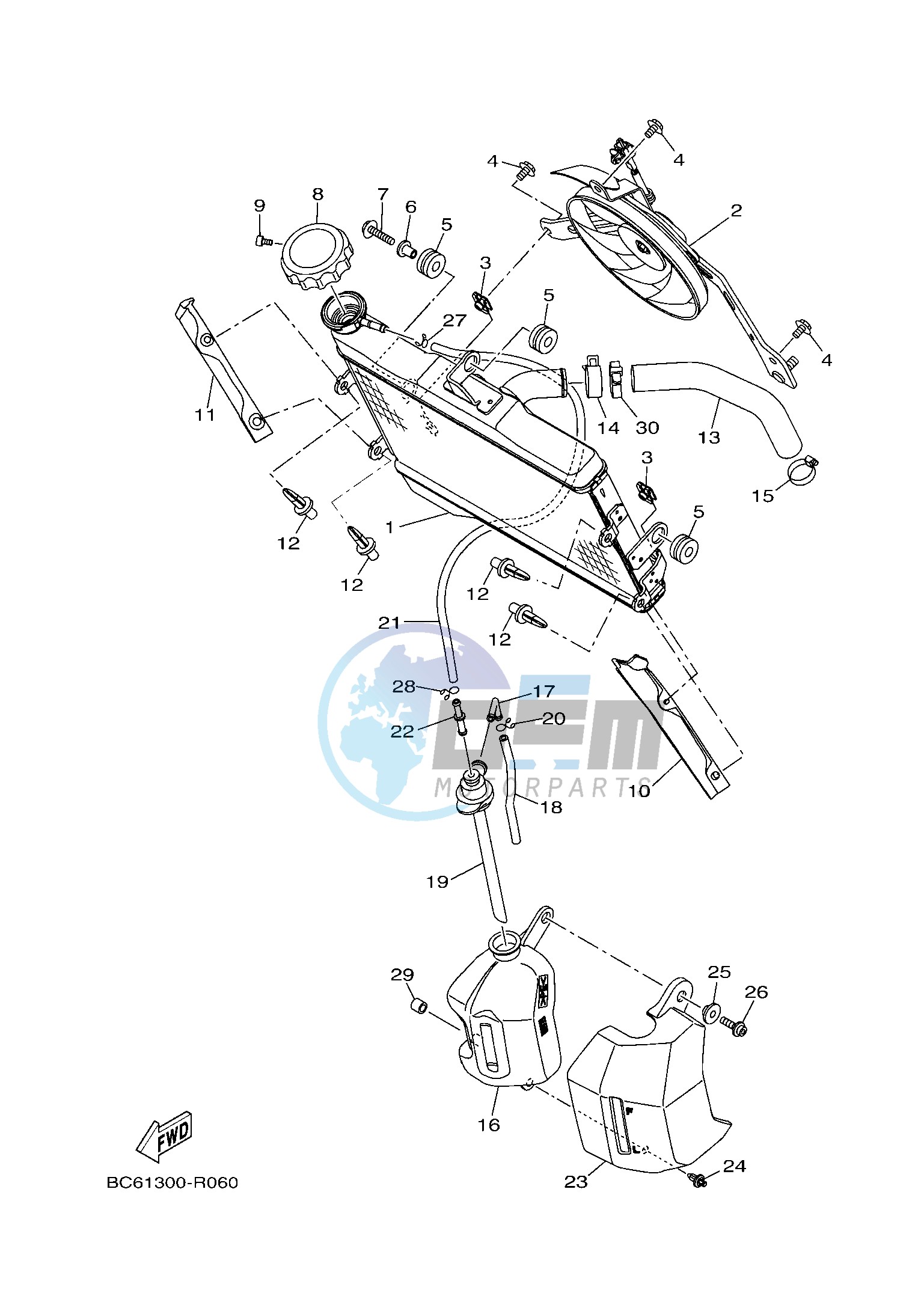 RADIATOR & HOSE