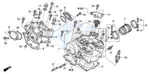 TRX650FA drawing CYLINDER HEAD