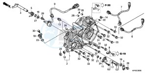 TRX420FPED TRX420 Europe Direct - (ED) drawing REAR CRANKCASE COVER