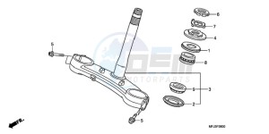 CBR600RA9 BR / ABS MME - (BR / ABS MME) drawing STEERING STEM