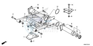 TRX500FM1H TRX500 ED drawing SWINGARM