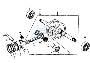 JUNGLE - 50 cc drawing CRANKSHAFT