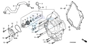 SH300A9 Europe Direct - (ED / ABS) drawing RIGHT CRANKCASE COVER/ WATER PUMP