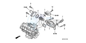 CB600FA9 France - (F / ABS CMF 25K) drawing THERMOSTAT