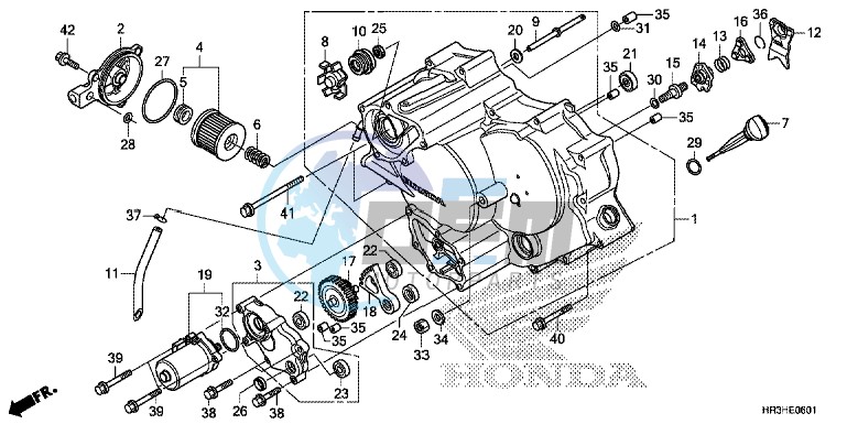 FRONT CRANKCASE COVER (TRX420FE1/FM1/FM2/TE1/TM1)