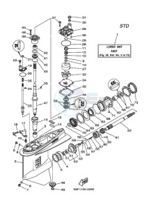 Z150P drawing LOWER-CASING-x-DRIVE-1