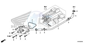 TRX500FM1E TRX500FM1 Europe Direct - (ED) drawing WATER PUMP COVER