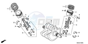 VT750CA9 Australia - (U / SPC) drawing CRANKSHAFT