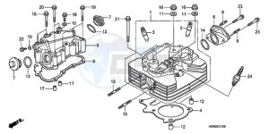 TRX250TEA Europe Direct - (ED / EC) drawing CYLINDER HEAD